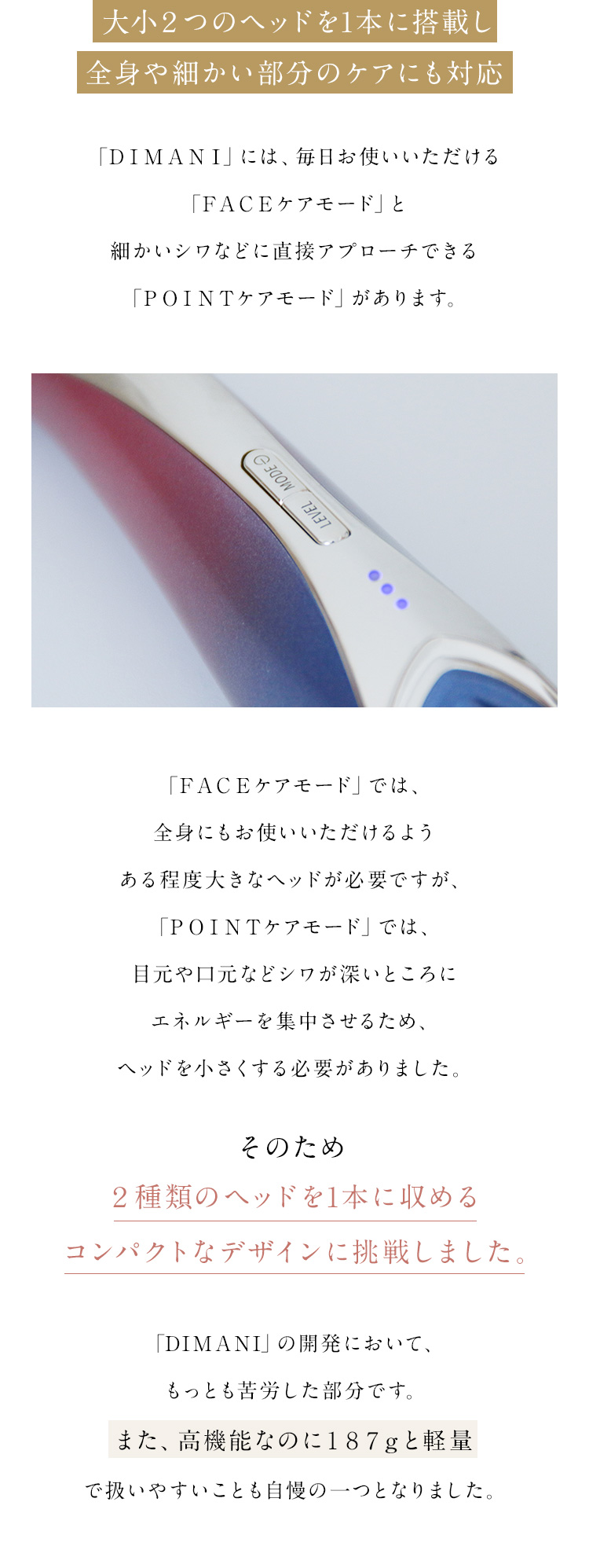 大小２つのヘッドを1本に搭載し全身や細かい部分のケアにも対応